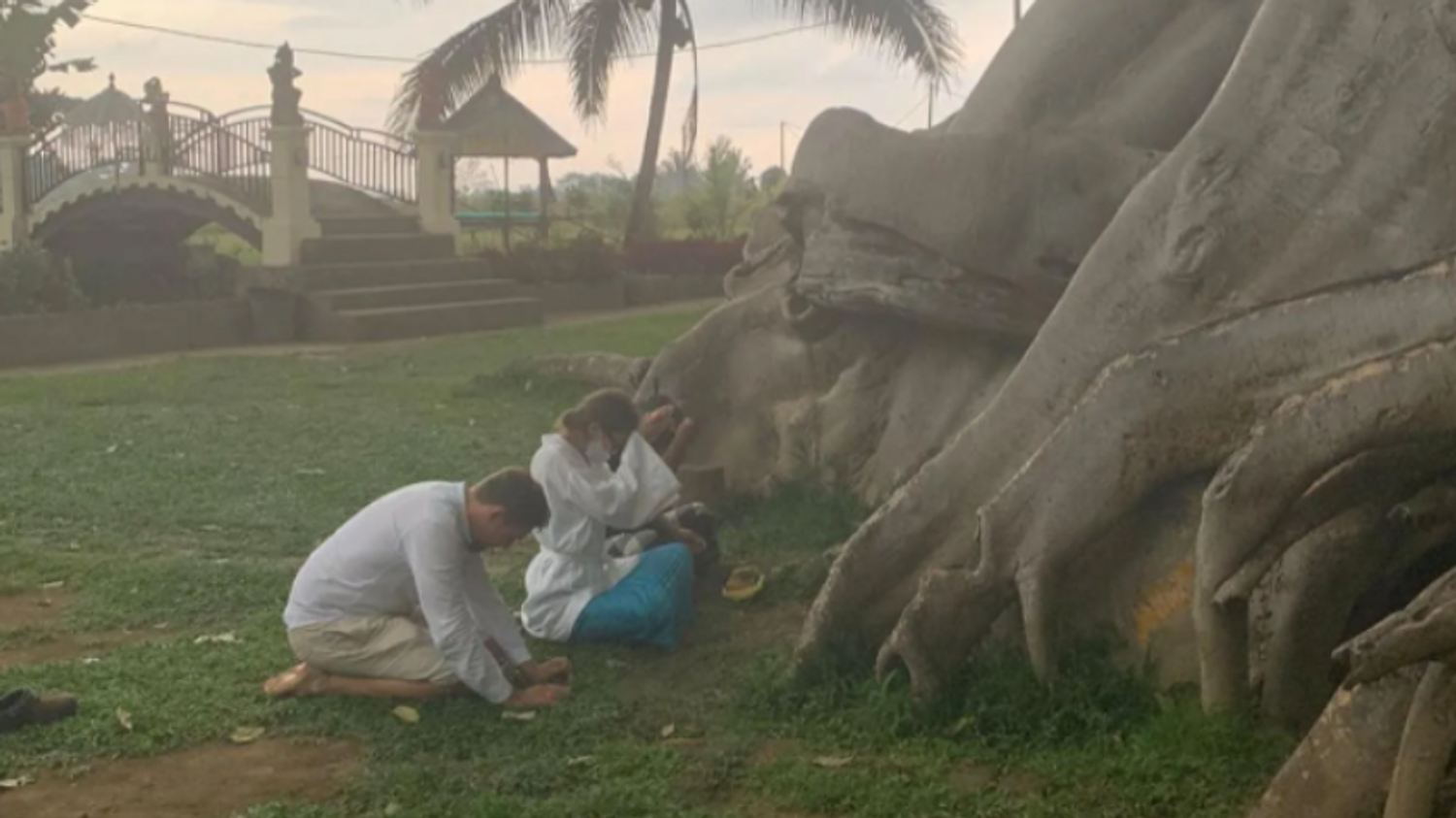 Une influenceuse a posé nue sur un banian vieux de 700 ans sur le site d'un temple 
