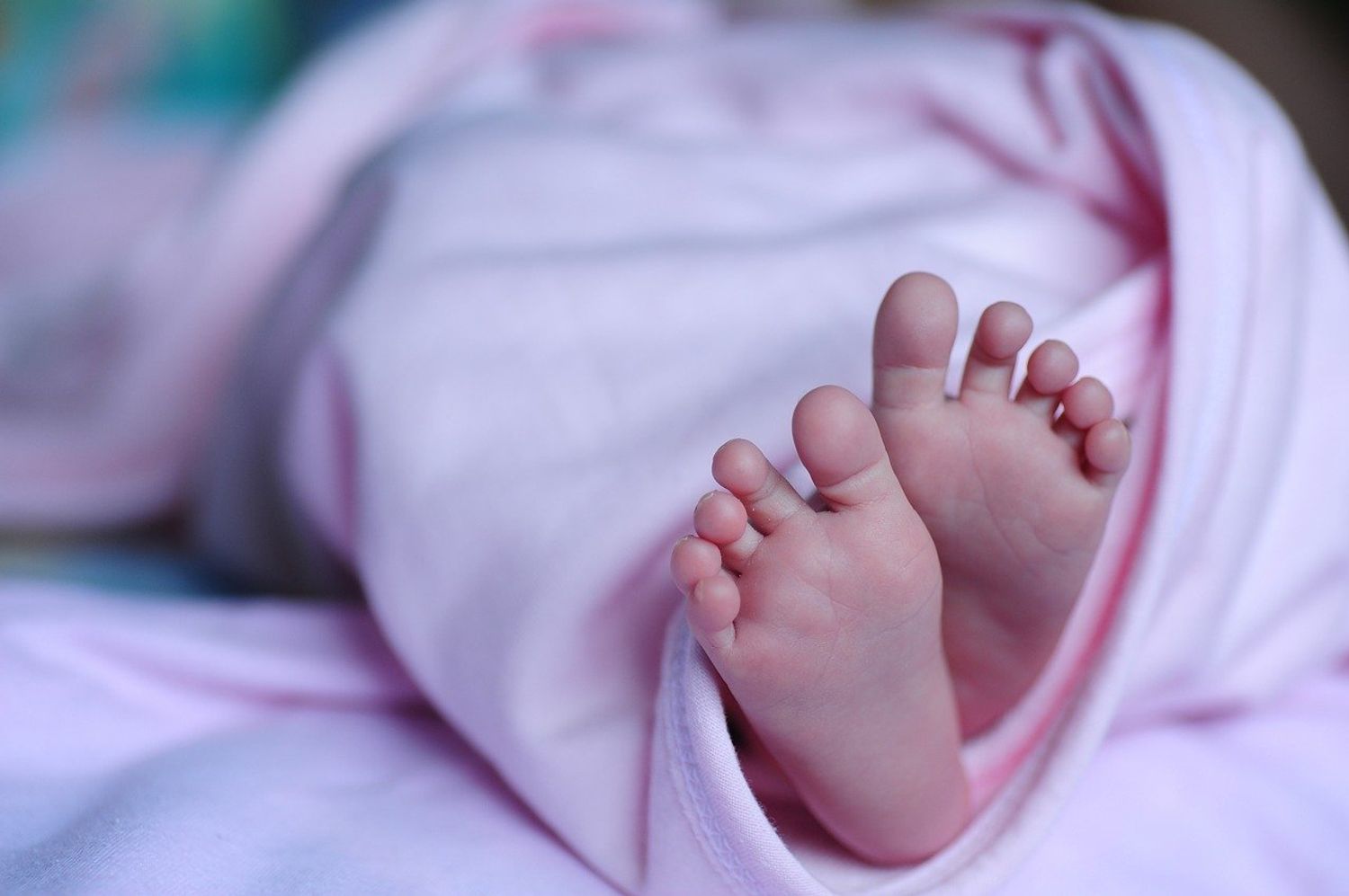 bébé
