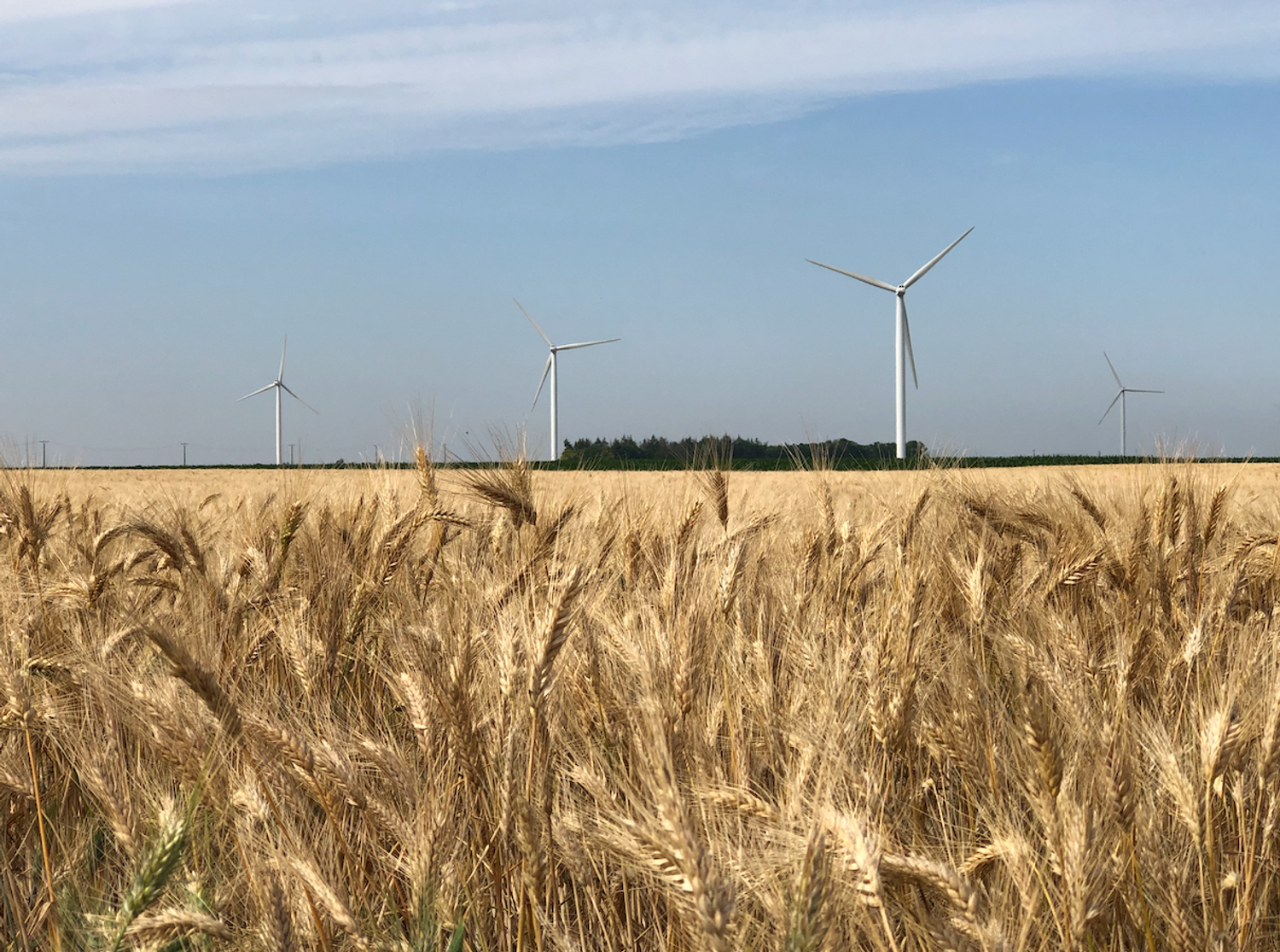 De nombreux postes sont à pourvoir dans les champs.