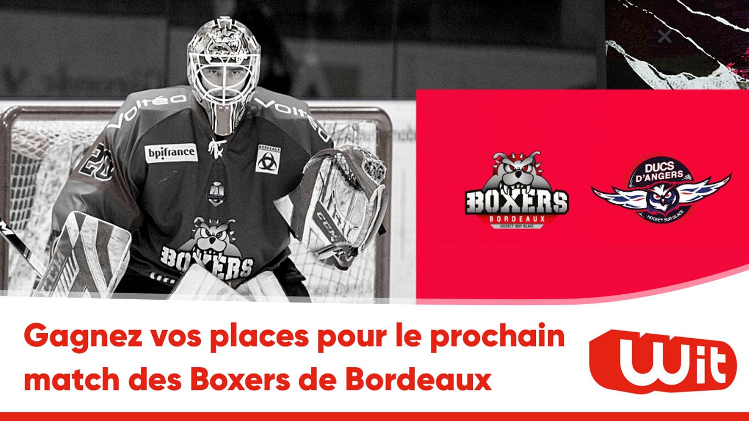 Boxers - Angers