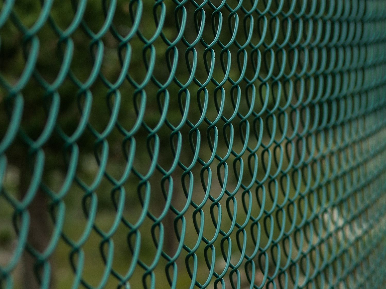 Les clôtures se multiplient en Sologne.