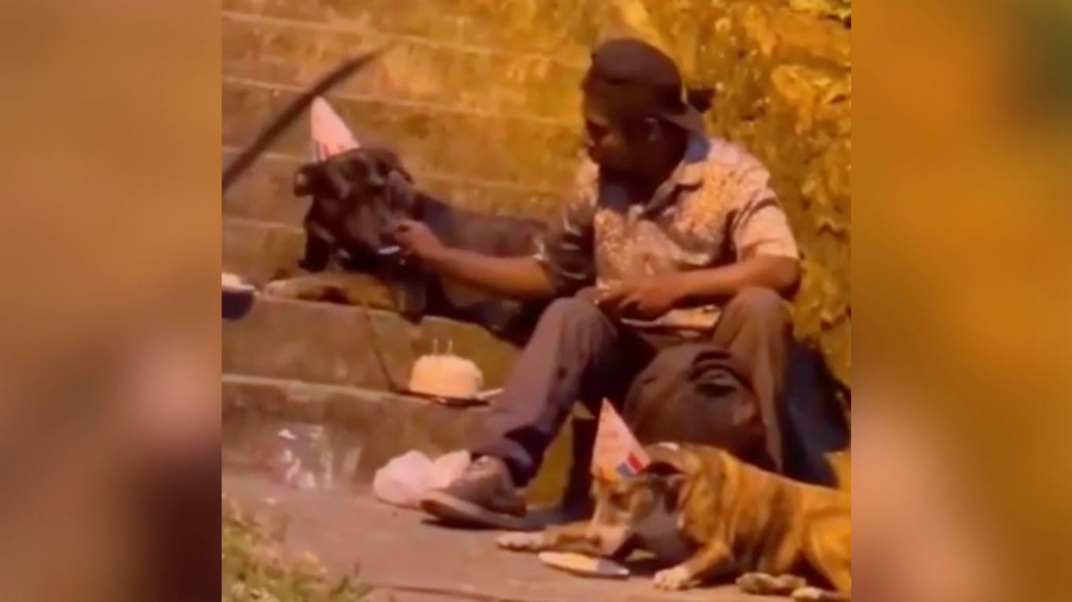Une homme fête son anniversaire avec ses chiens