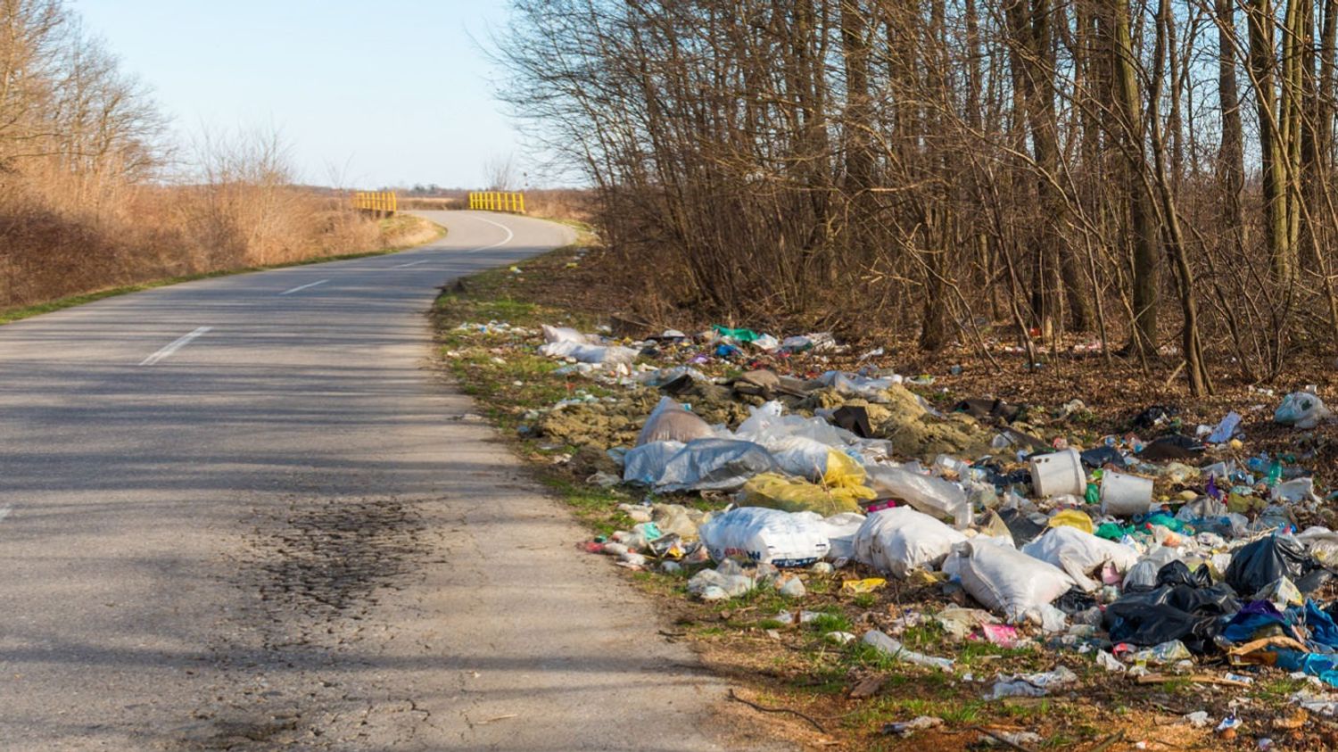Pollution des bords de routes