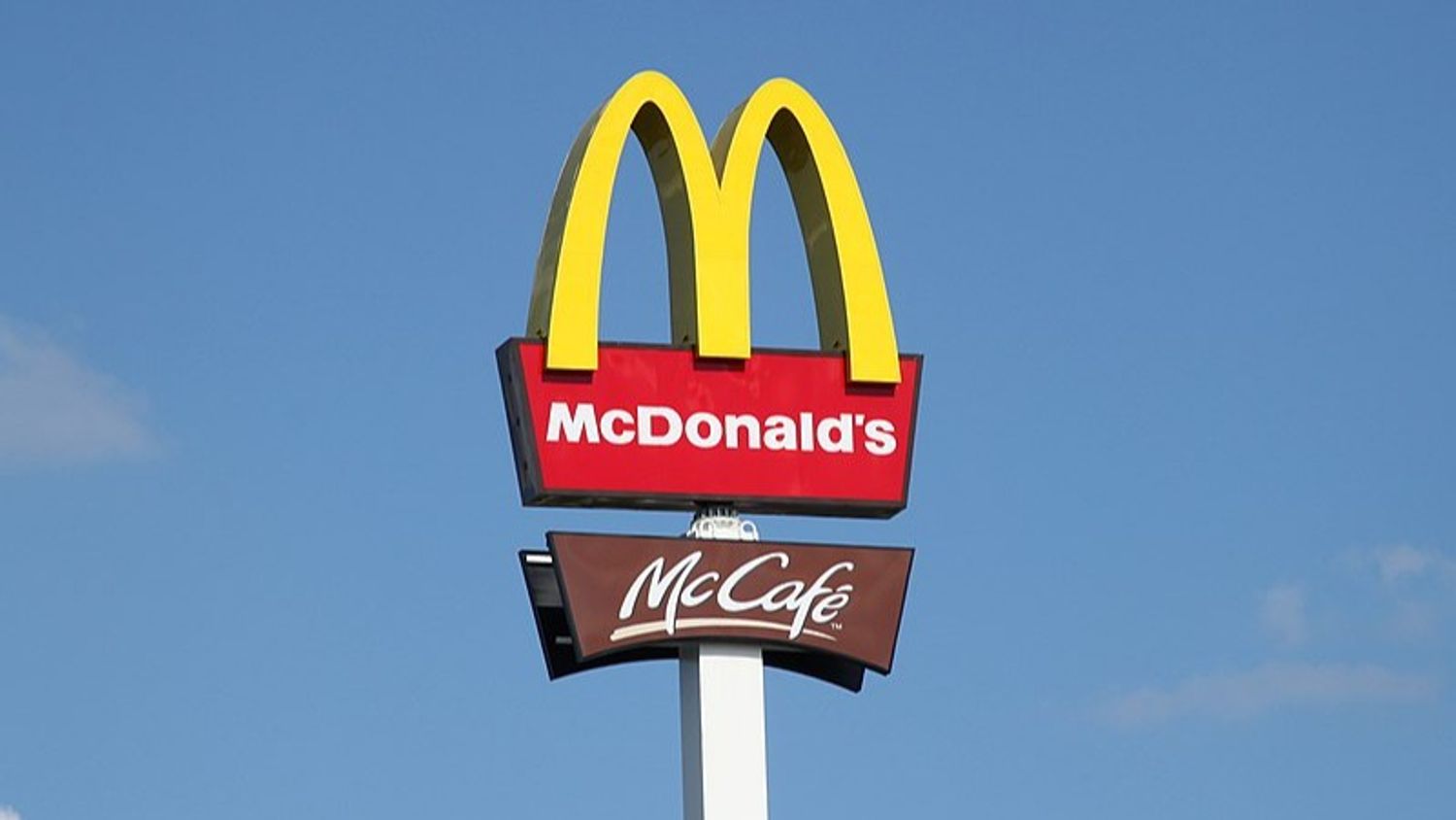 Val-d’Oise : elle porte plainte contre McDonald’s après la découverte d’un lézard dans son repas