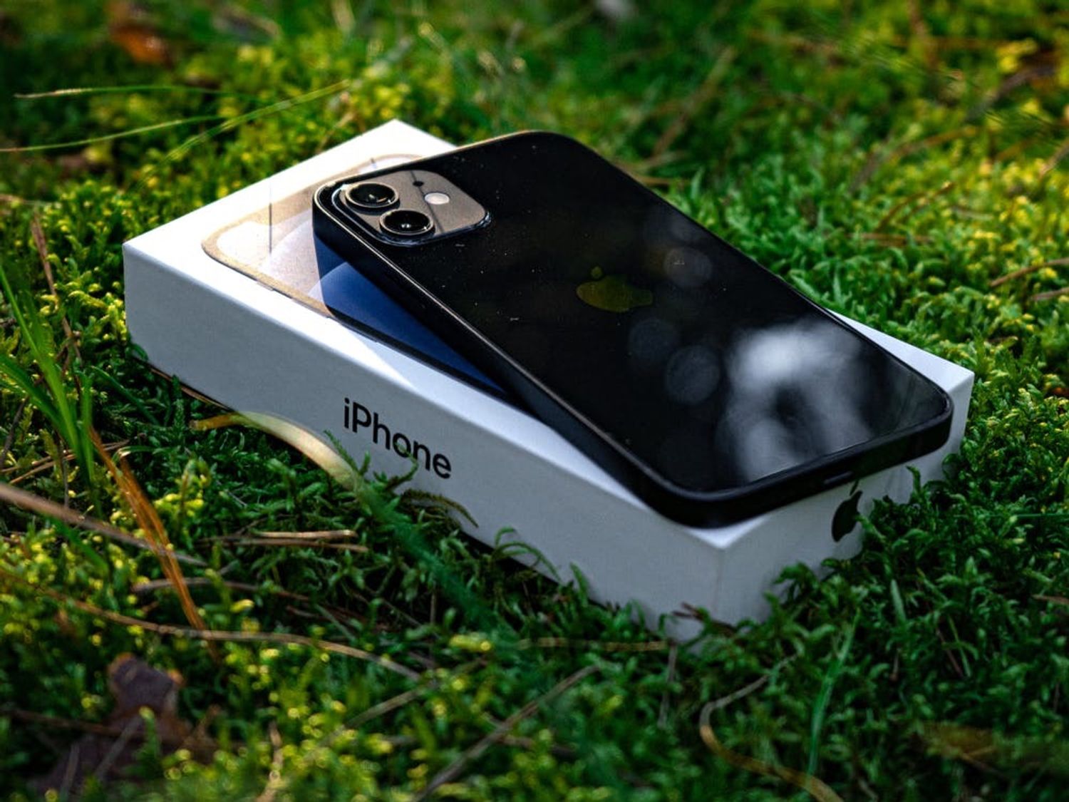 Rédaction / Apple