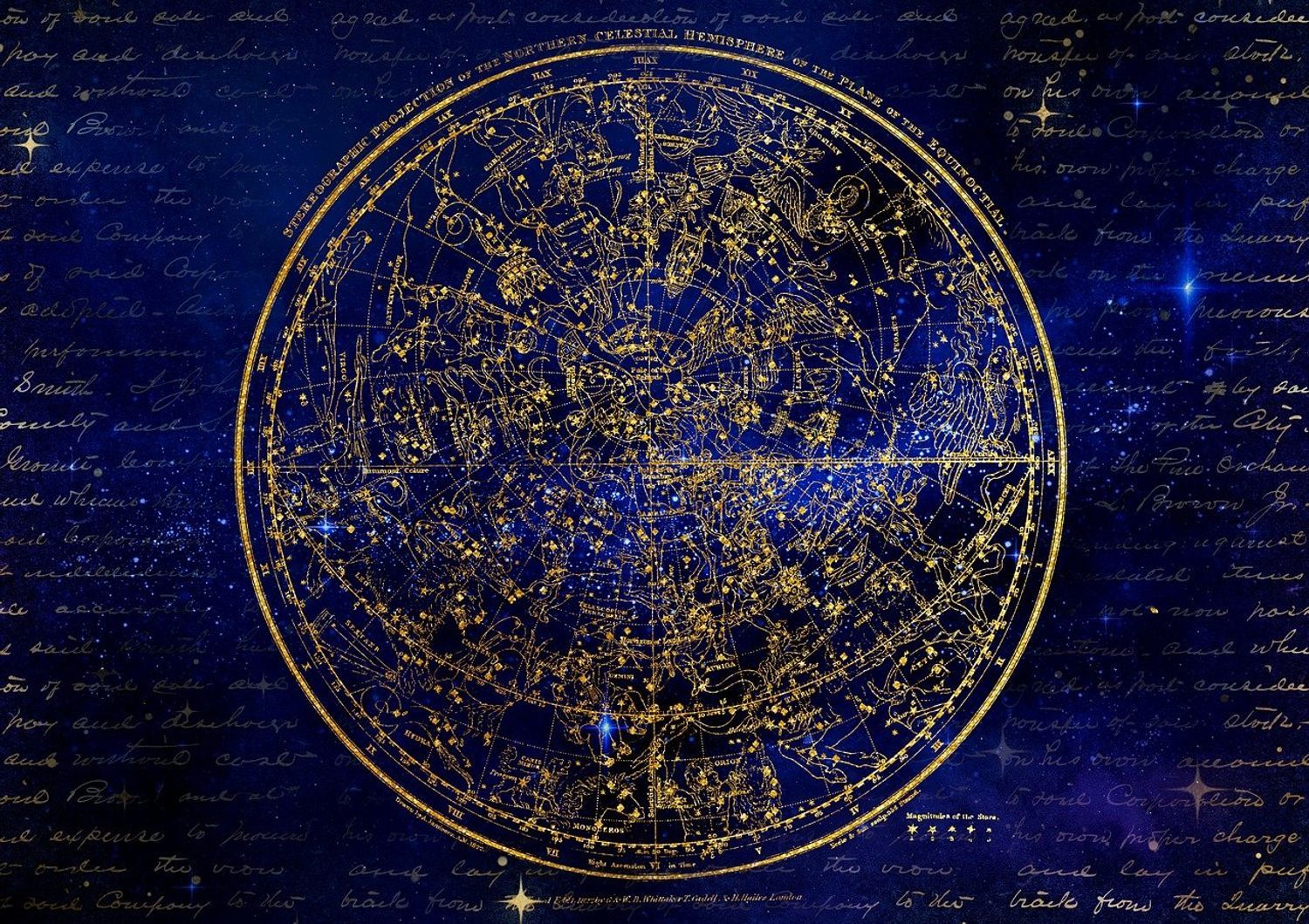 Selon une étude, le scorpion est le signe astrologique le plus jaloux