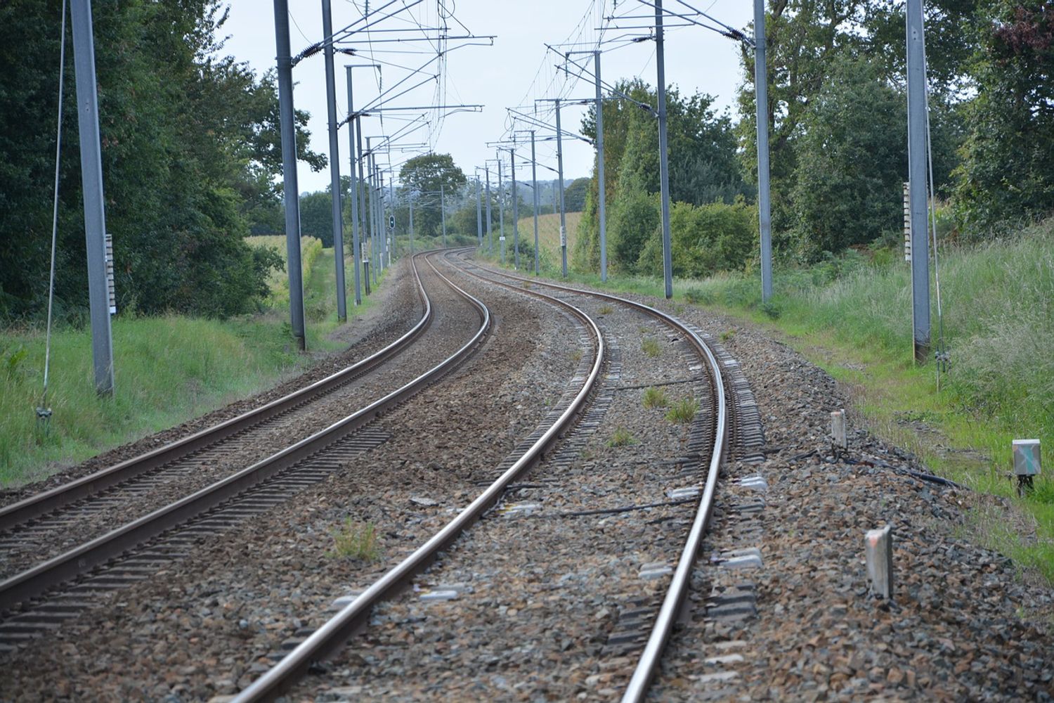 train