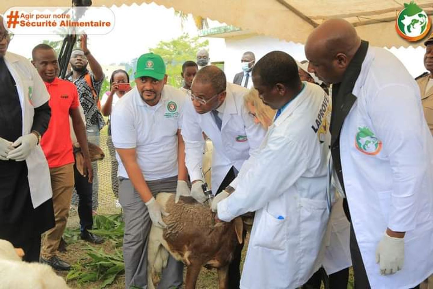 CEDEAO : Sidi Tiemoko Touré lance la campagne de vaccination contre la Peste des Petits Ruminants