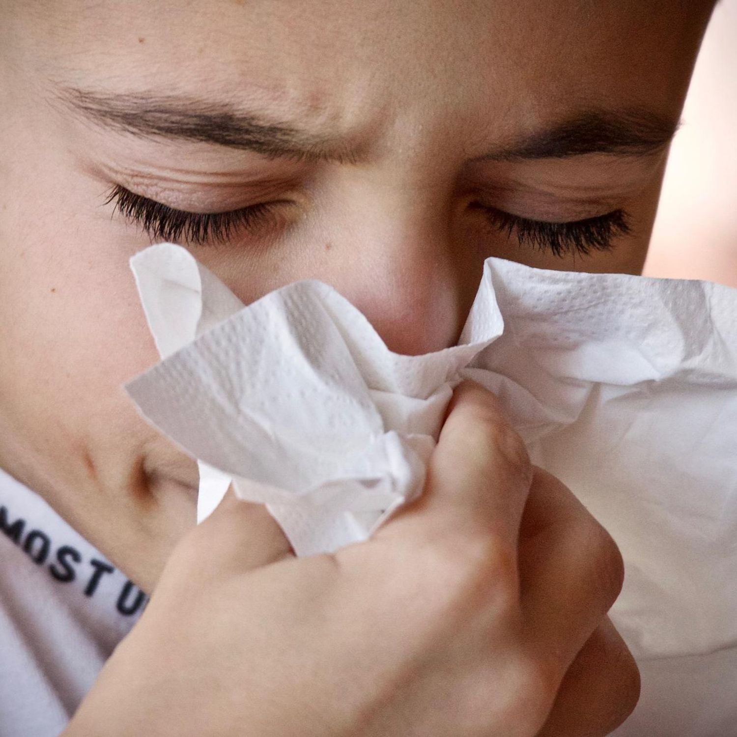 Allergie : Les pollens d'ambroisie de retour dans la région
