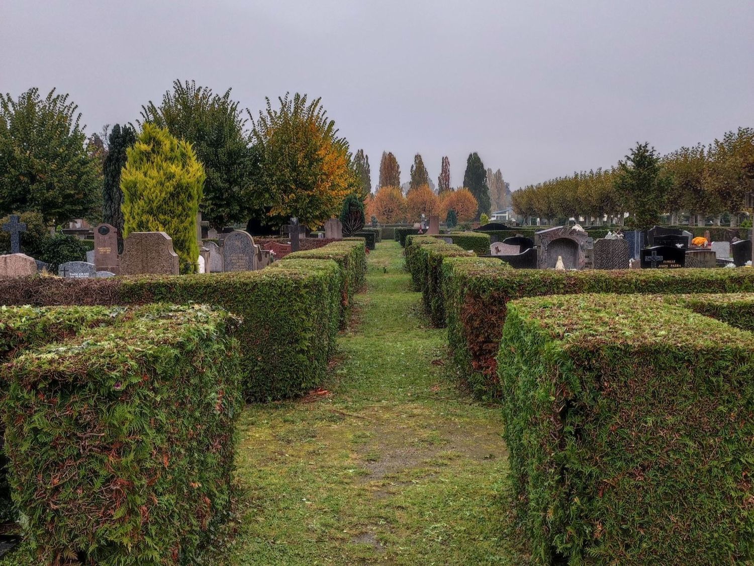 Strasbourg ferme ses parcs et cimetières municipaux ce jeudi 7 avril