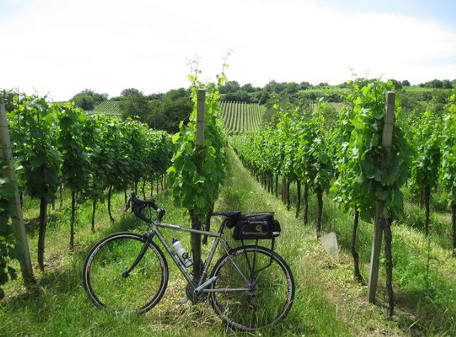 Prenez votre vélo jusqu'au bar éphémère dans le vignoble alsacien