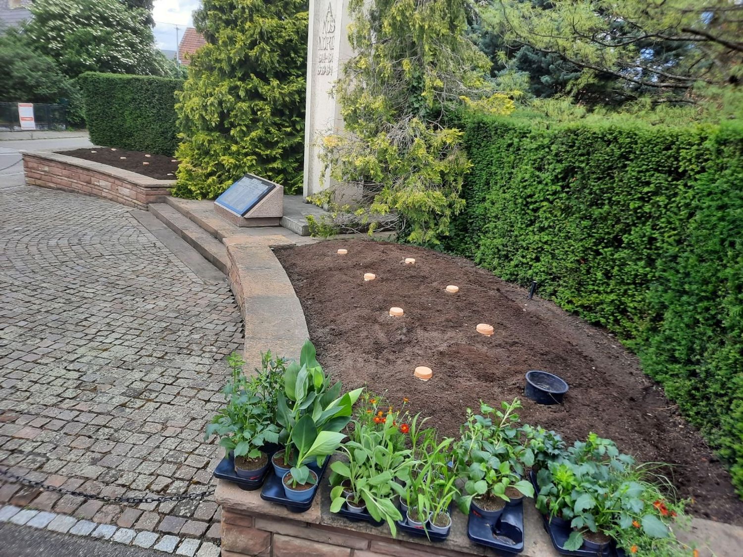 A Dalhunden les oyas ont pris place près du monument aux Morts