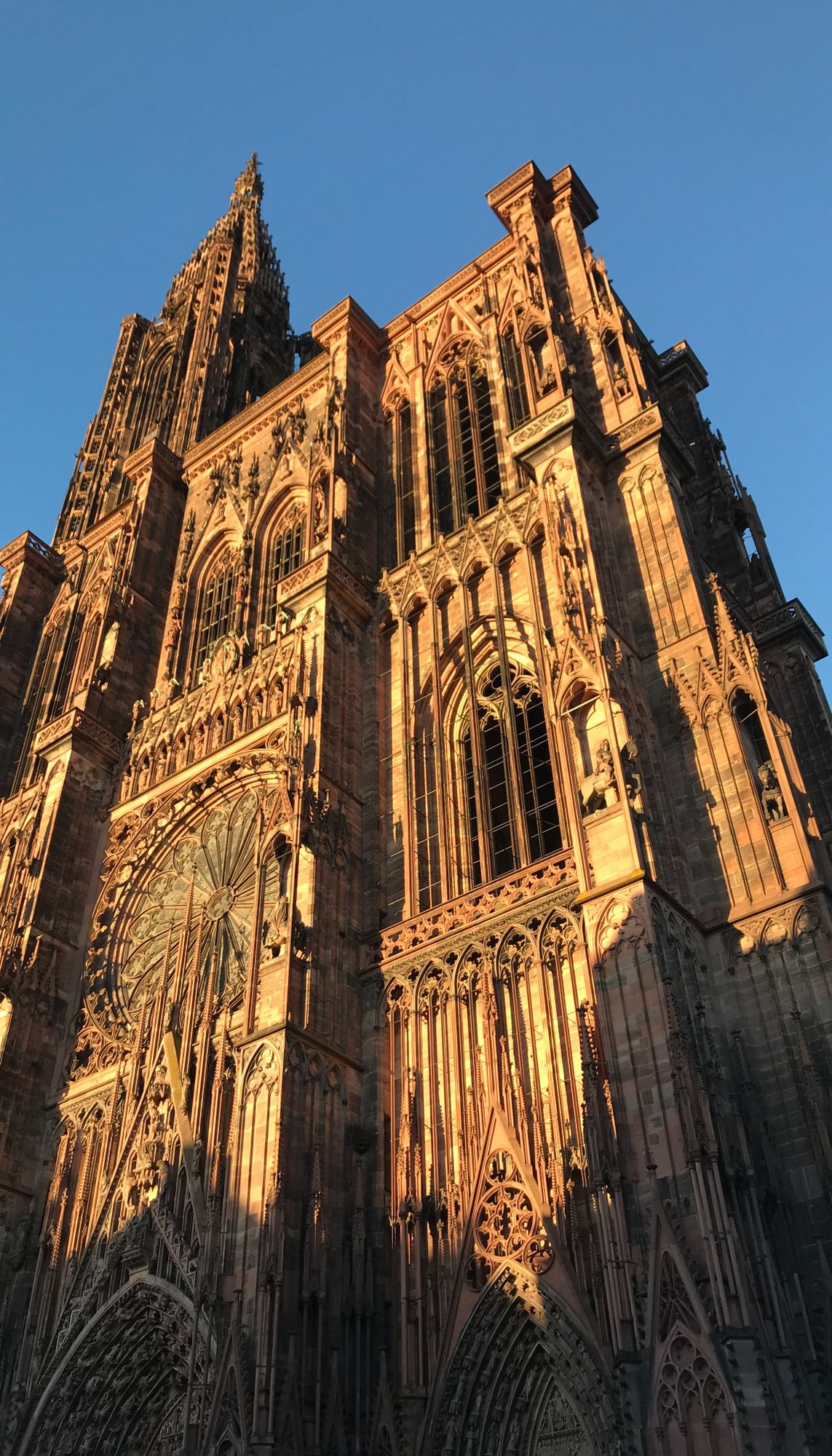La moyenne annuelle d'ensoleillement a été dépassée à Strasbourg