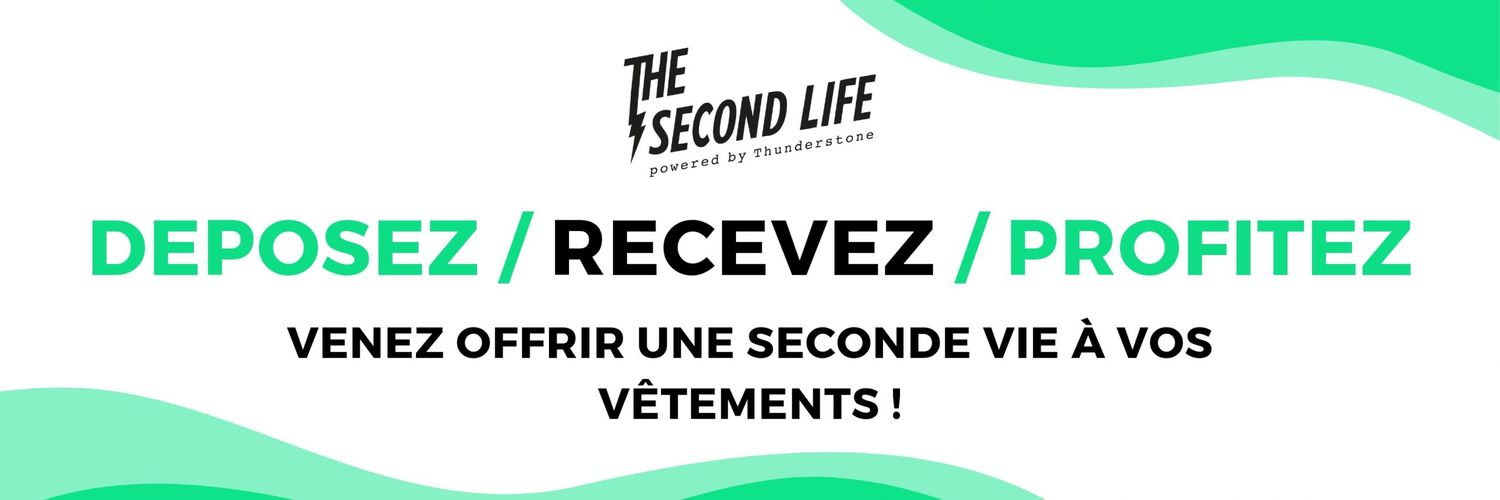THE SECOND LIFE