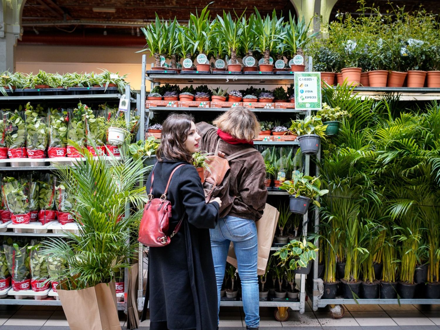 Vente de plantes à prix mini à Strasbourg