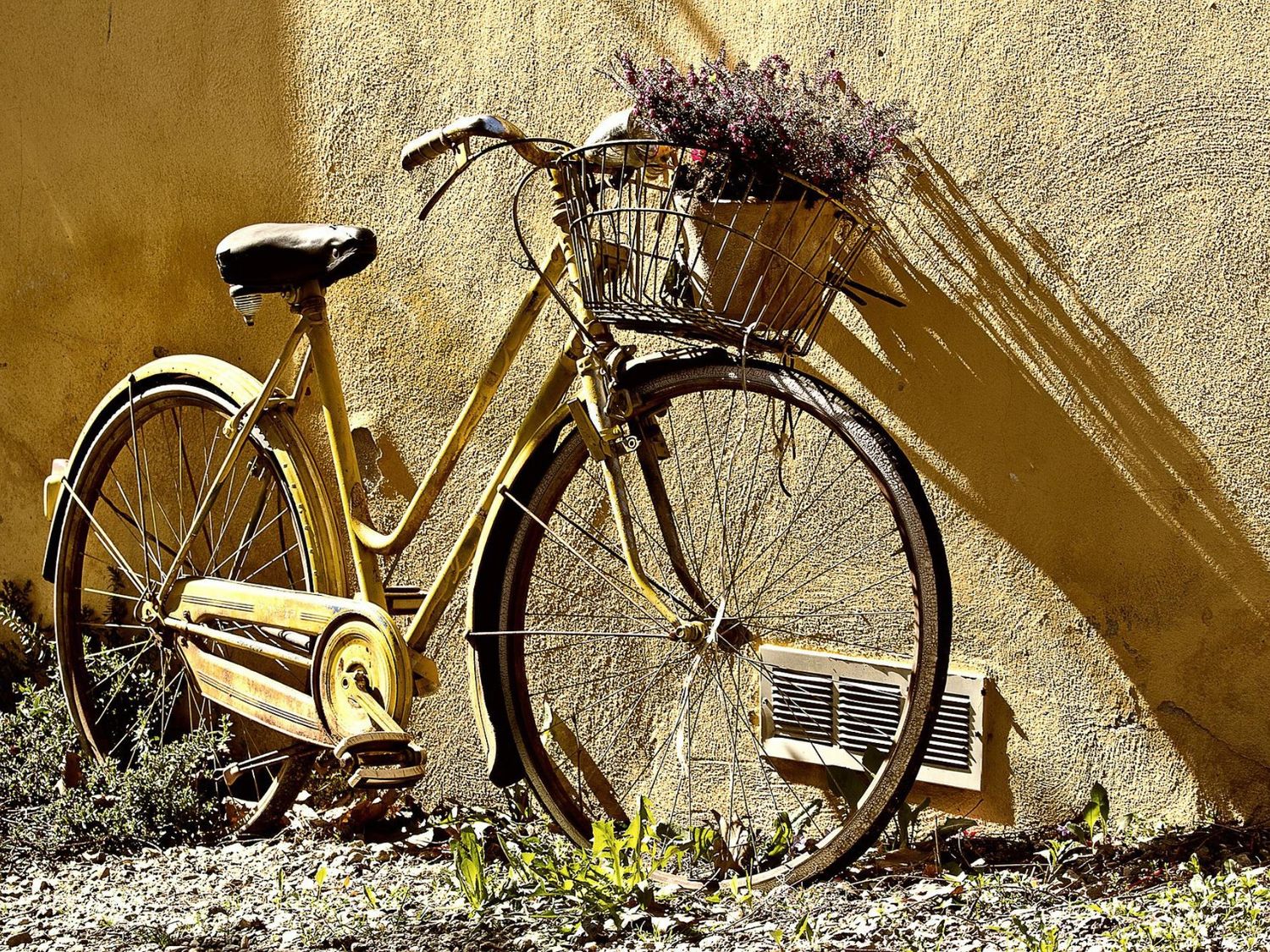 Mulhouse : faites don de votre vélo à un étudiant