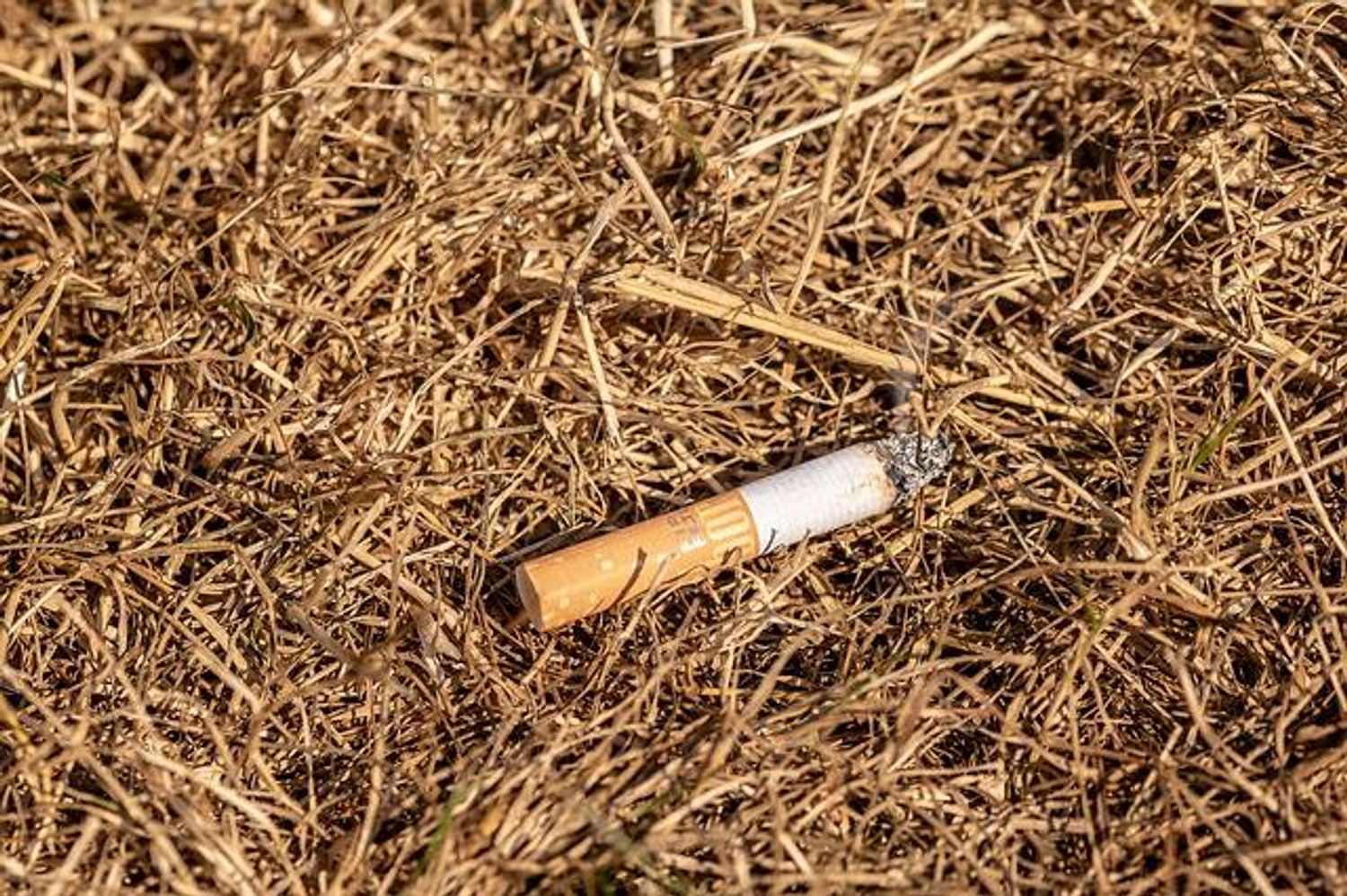 Incendies
