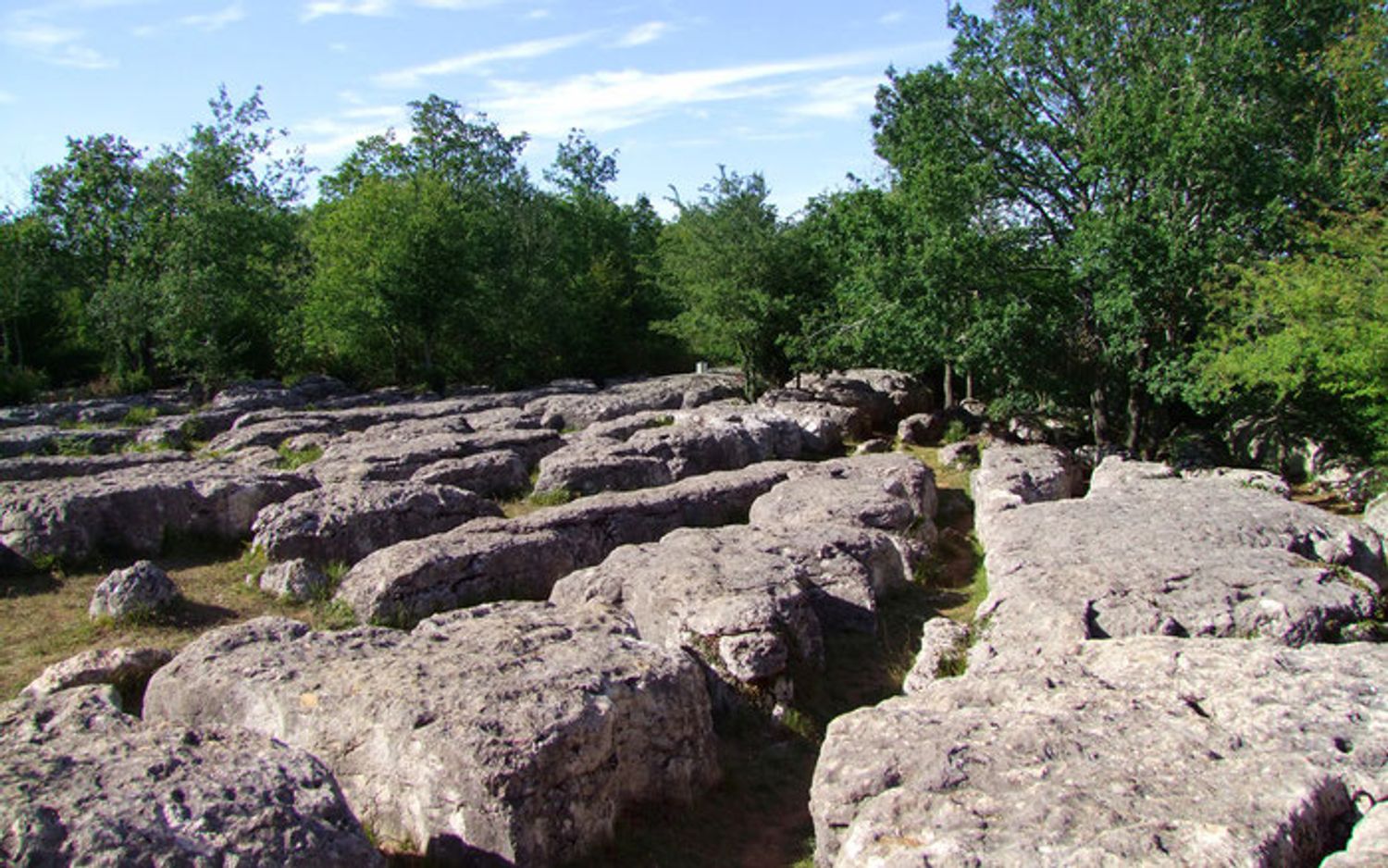 Le labyrinthe vert de Nébias dans l'Aude.