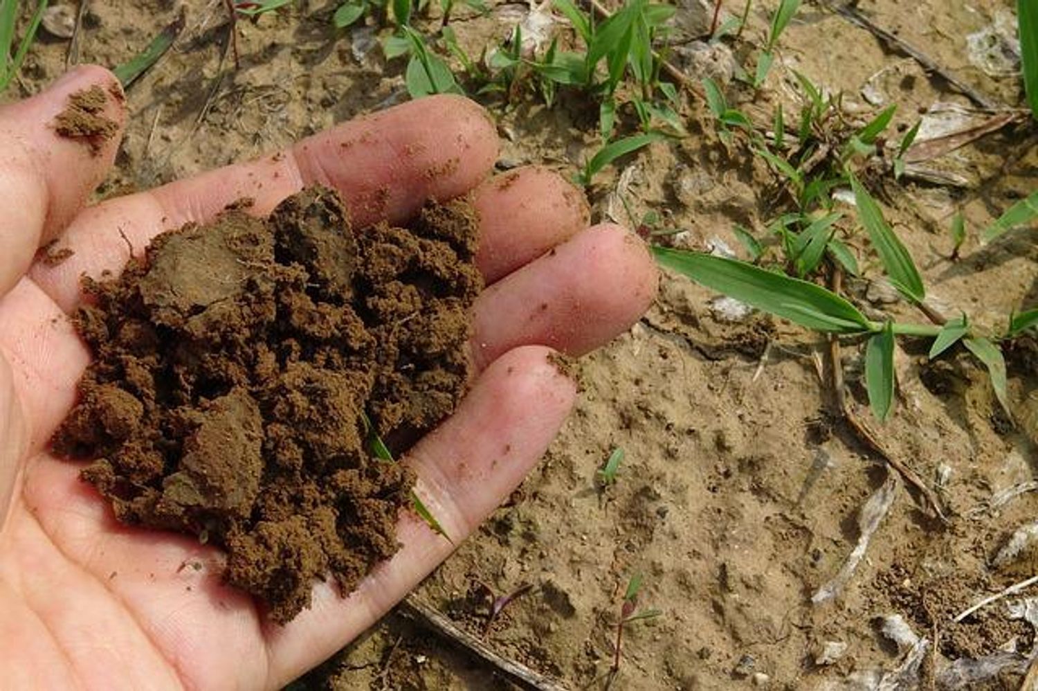 Compost Nîmes