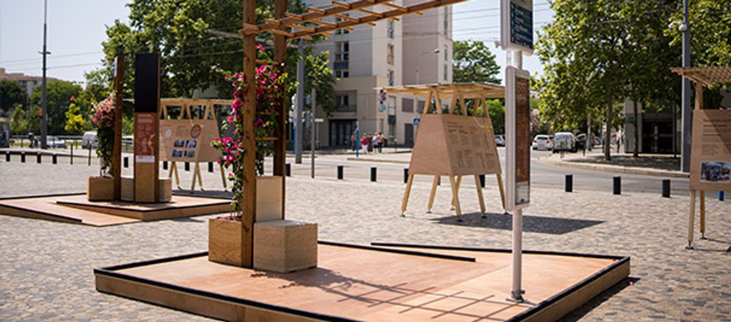 L'exposition Terra