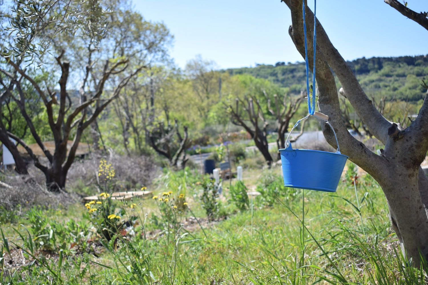 Jardin