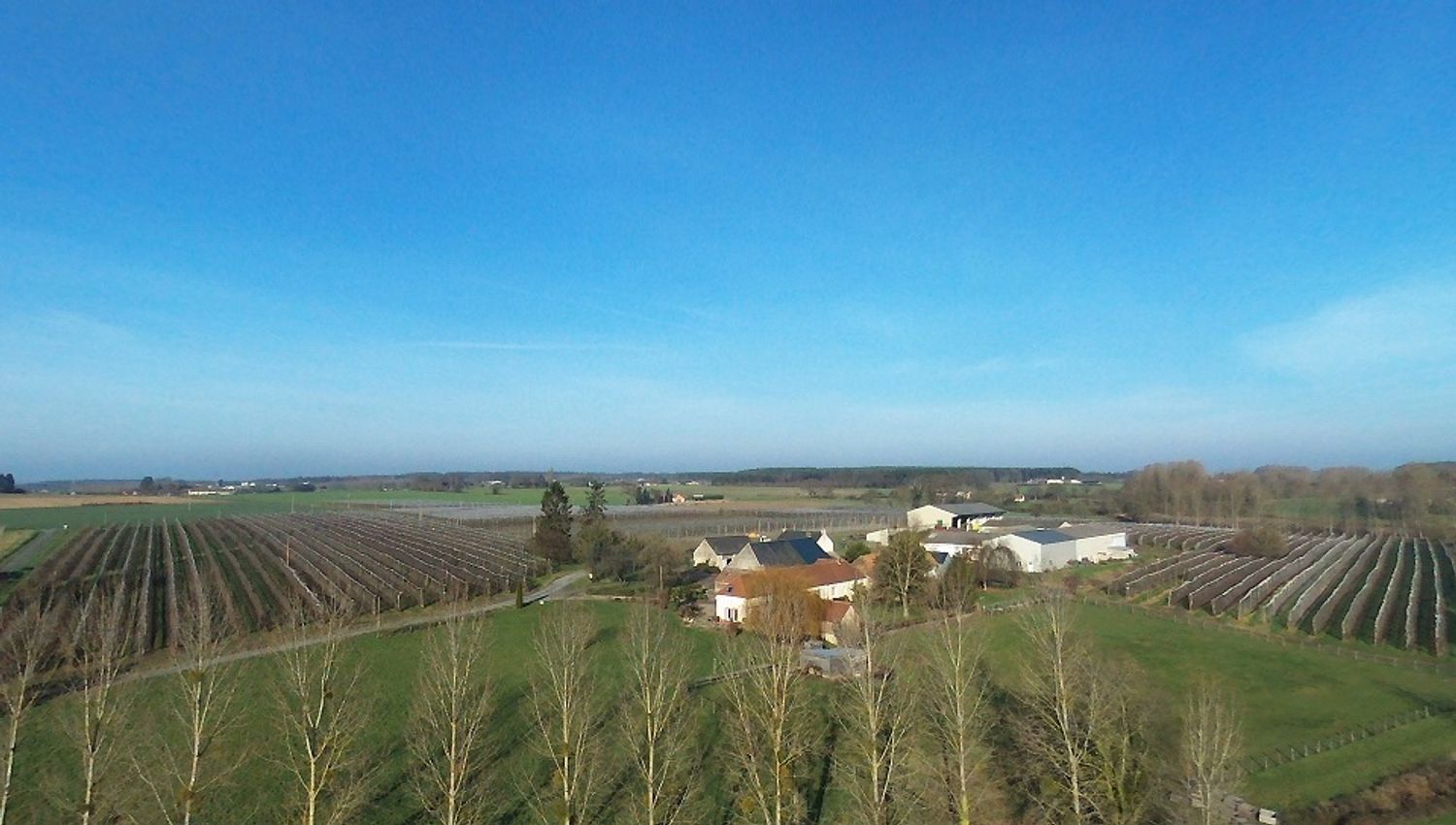 A Oizé, les vergers de la Maison Leroy