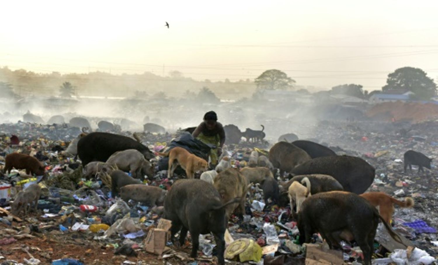 AFRICA RADIO
