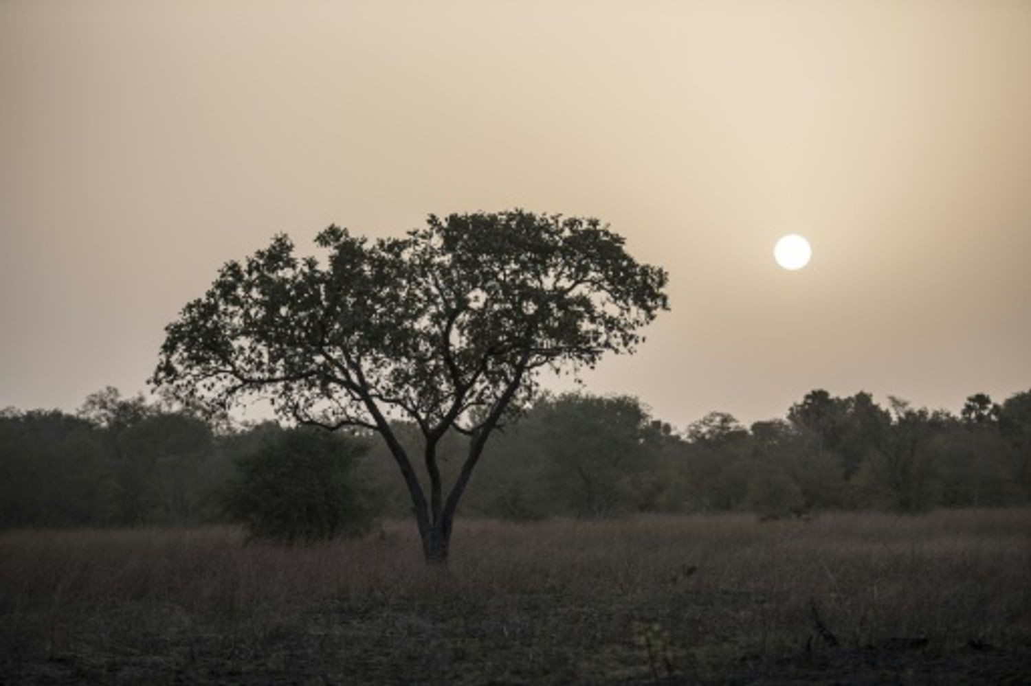 AFRICA RADIO