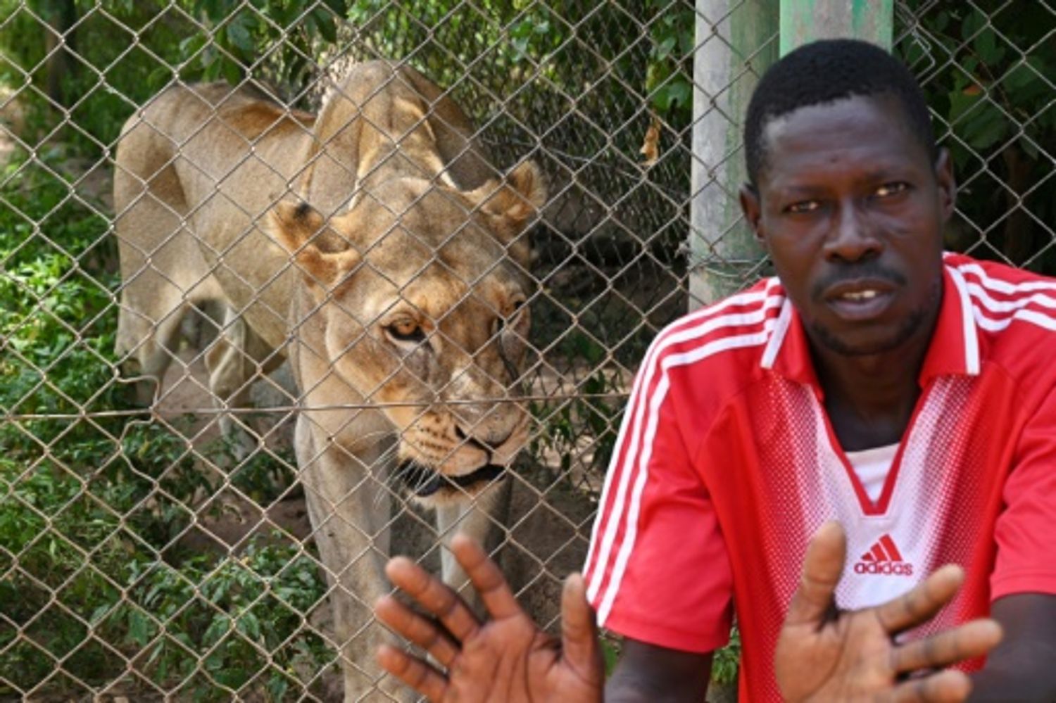 AFRICA RADIO