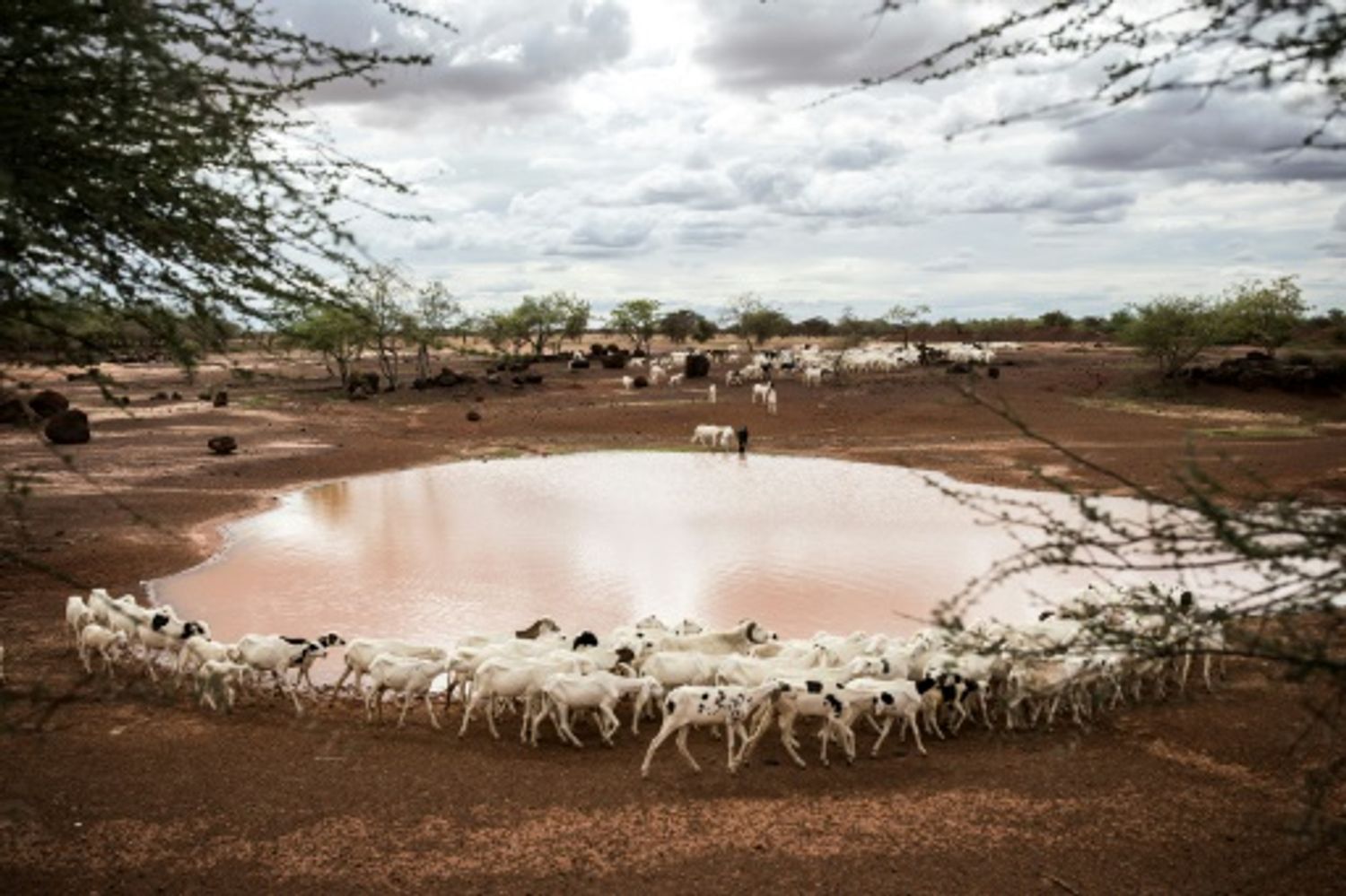 AFRICA RADIO