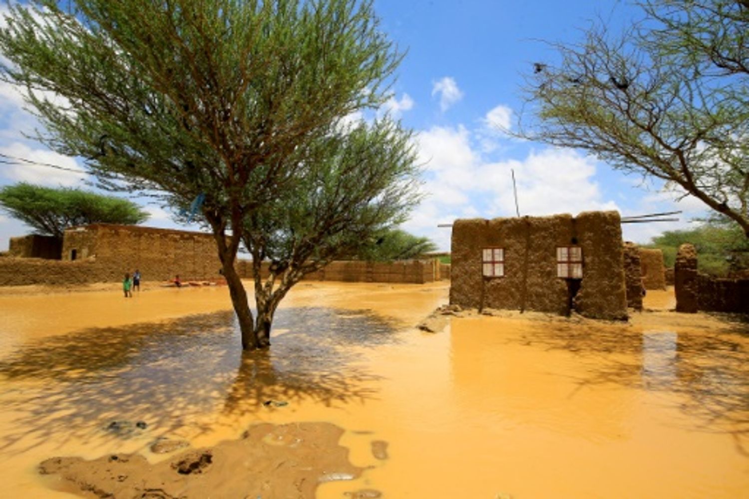 AFRICA RADIO