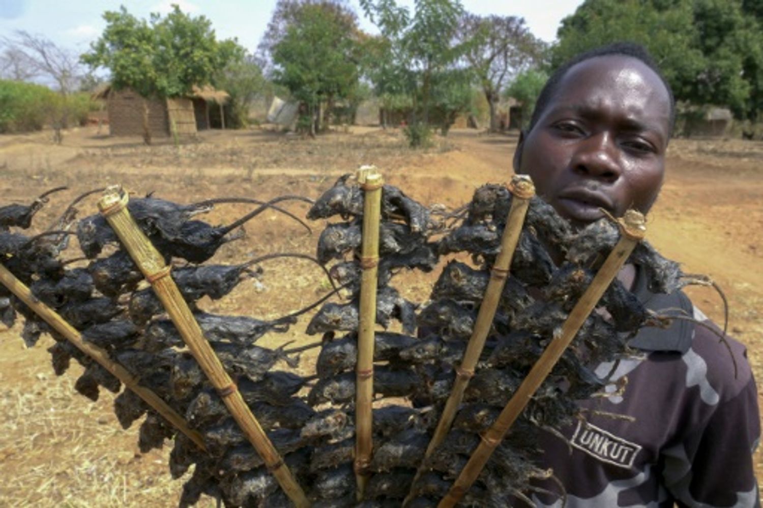 AFRICA RADIO