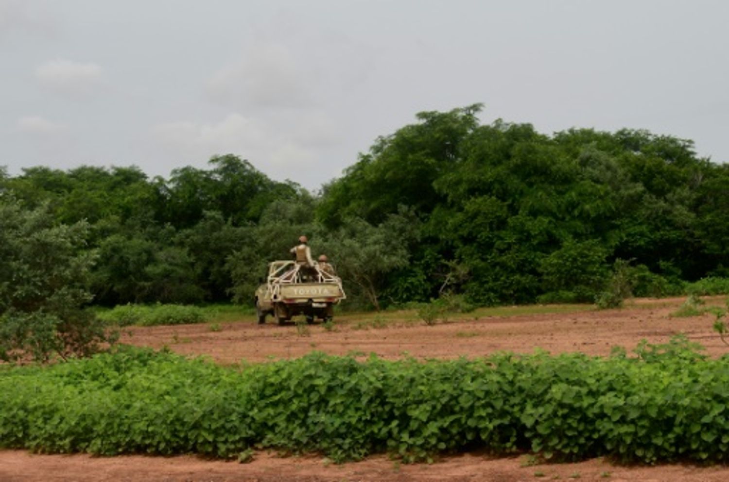 AFRICA RADIO