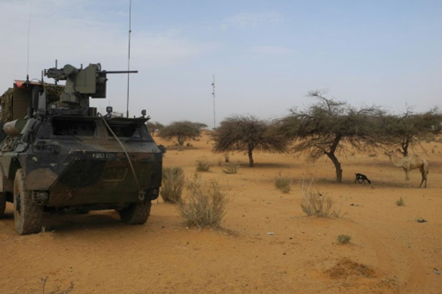 AFRICA RADIO