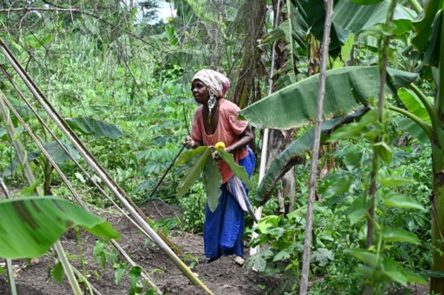 AFRICA RADIO