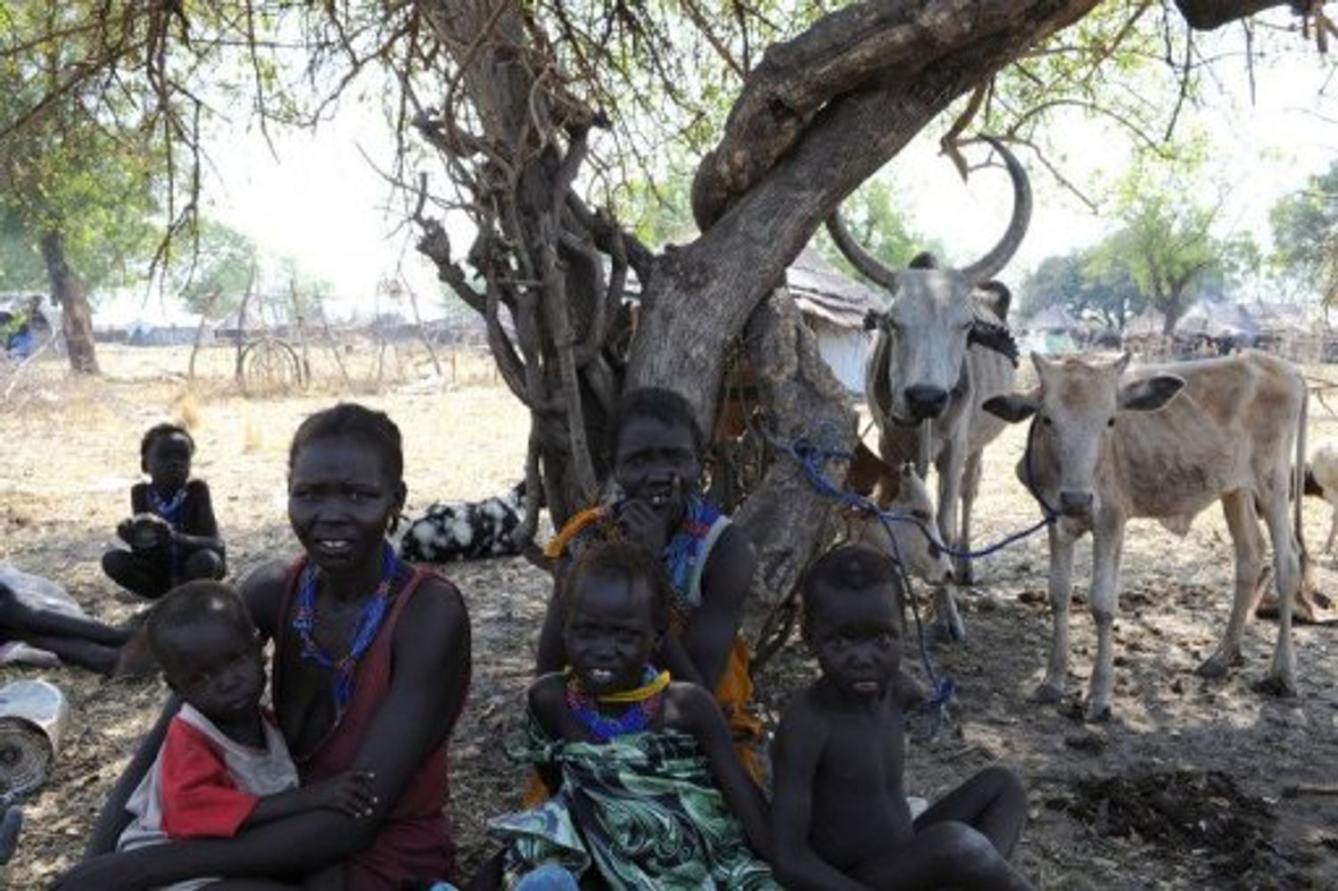 AFRICA RADIO