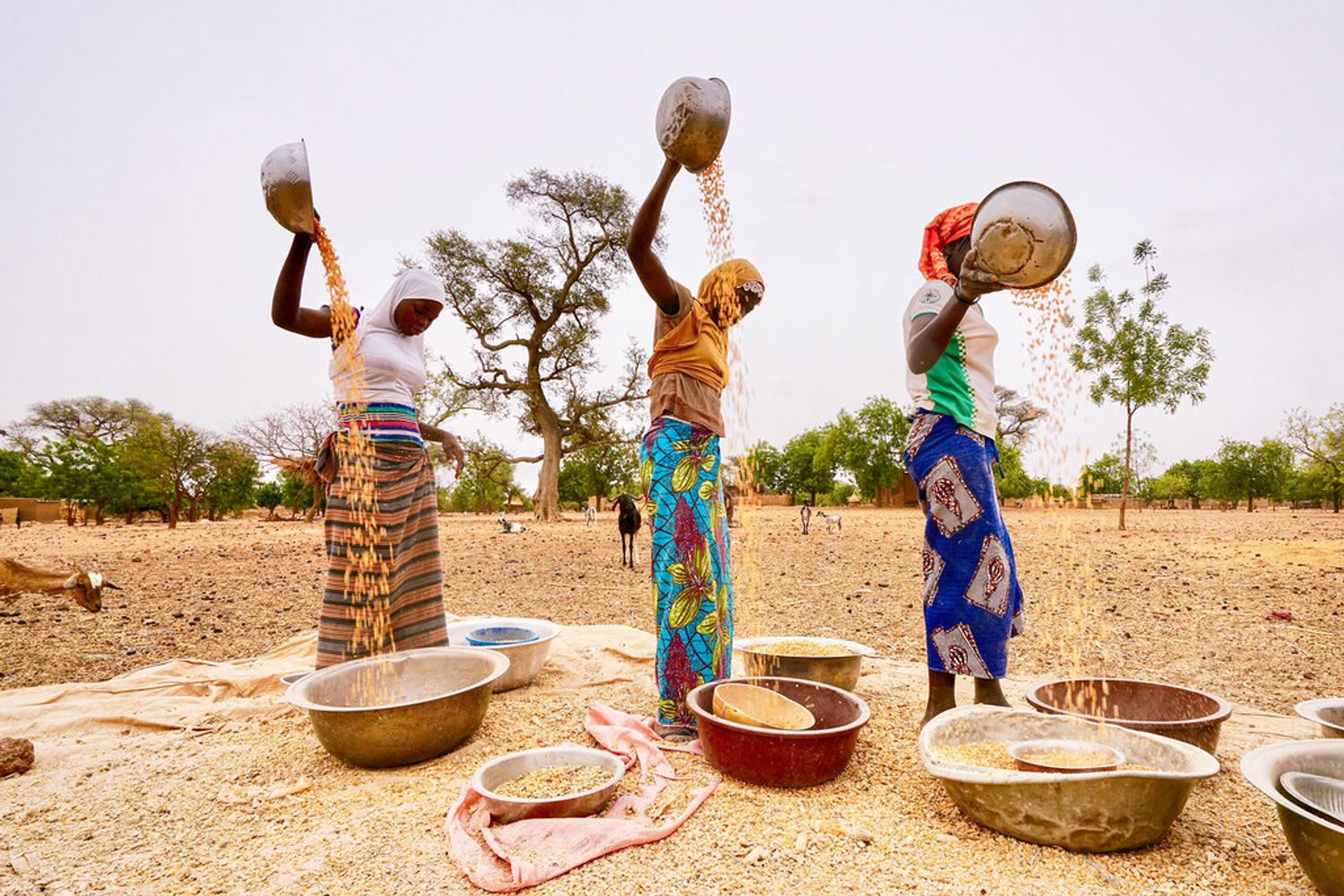 AFRICA RADIO
