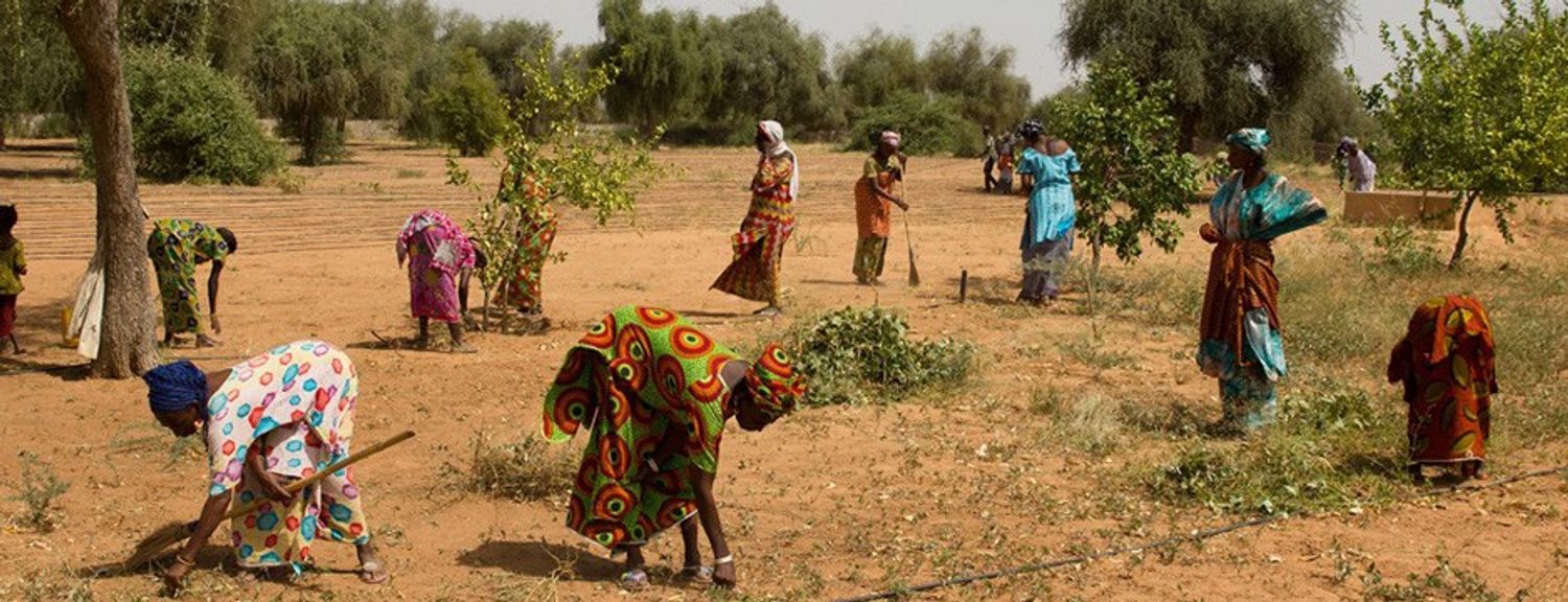 AFRICA RADIO