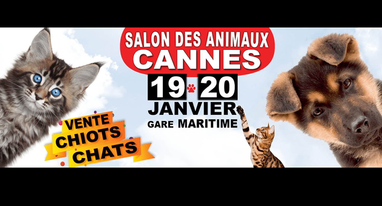 CANNES RADIO