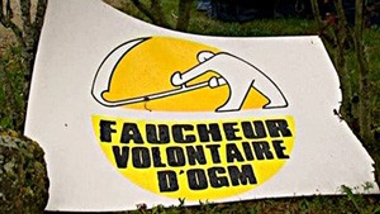 K6 FM
