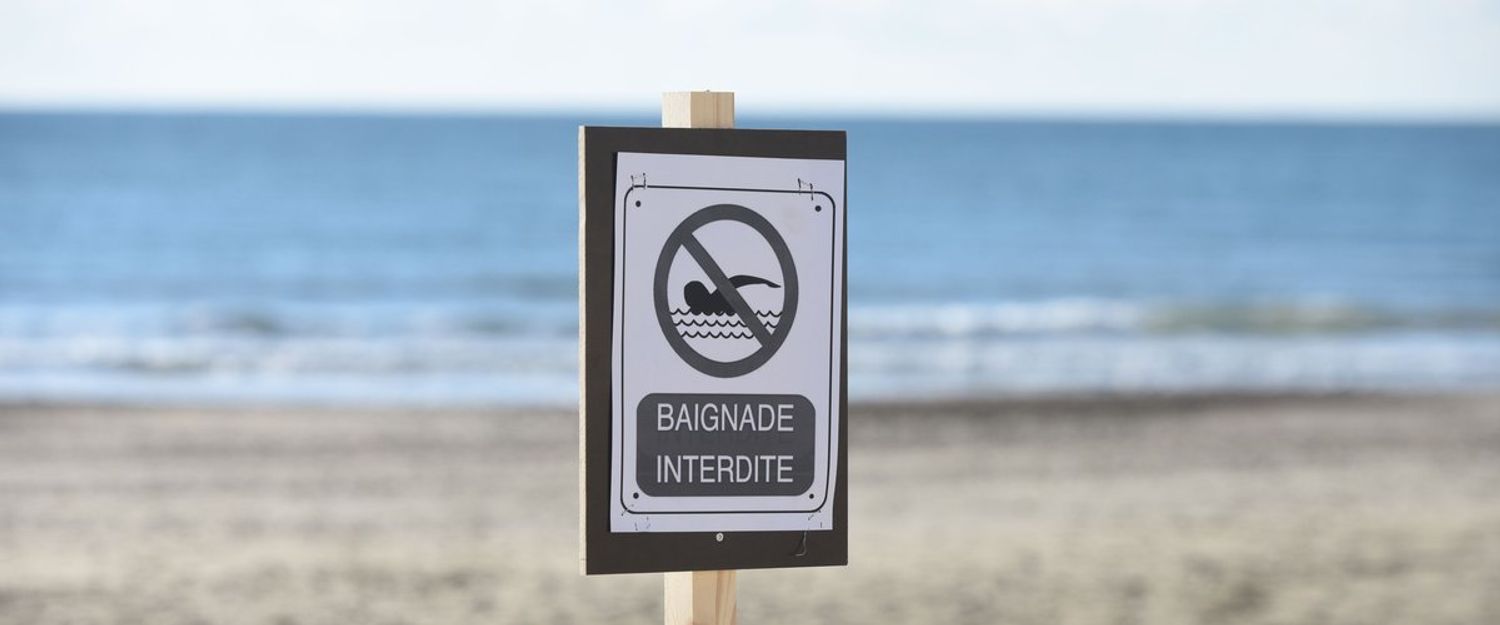 RADIO CAMARGUE