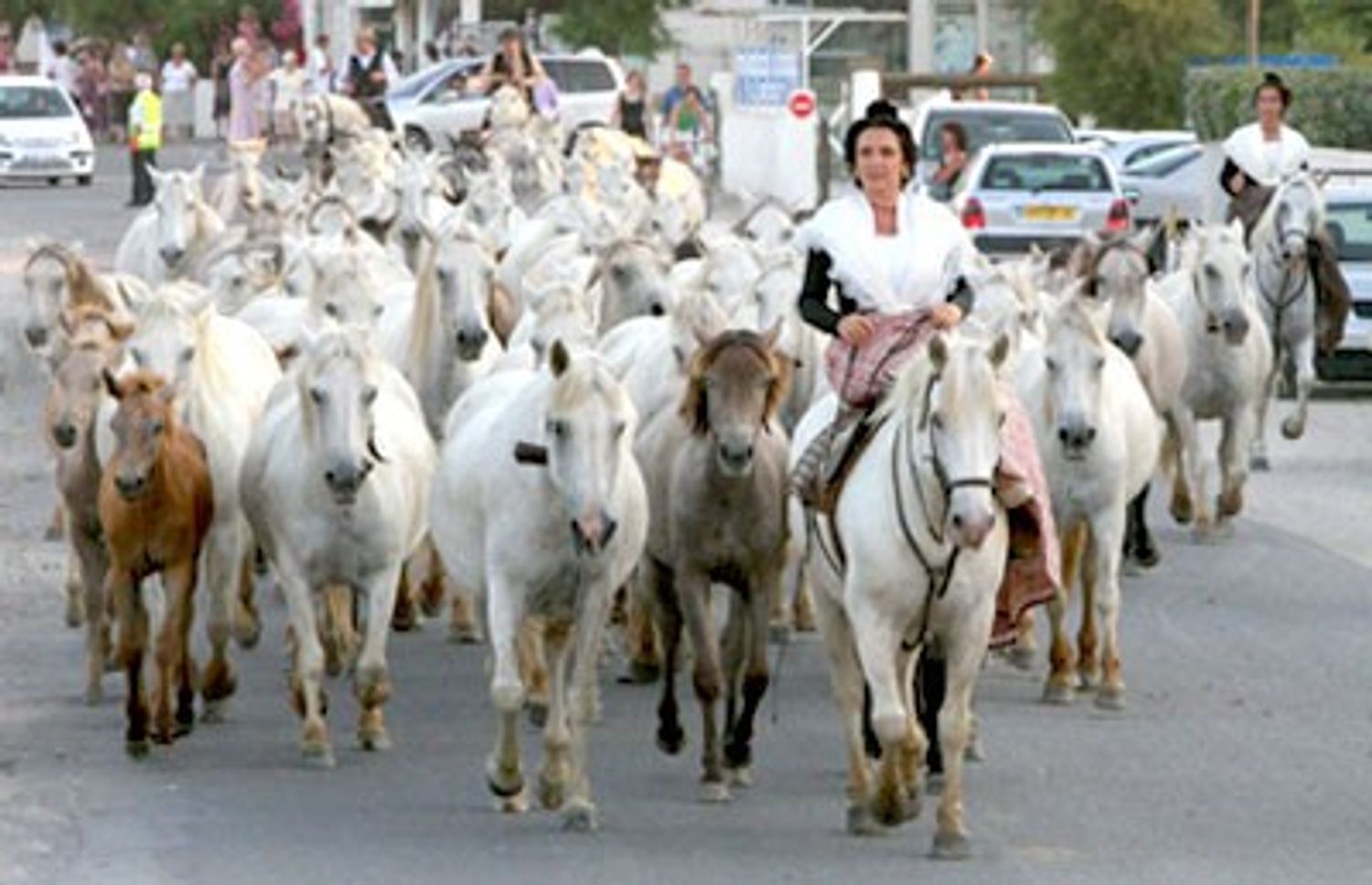 RADIO CAMARGUE