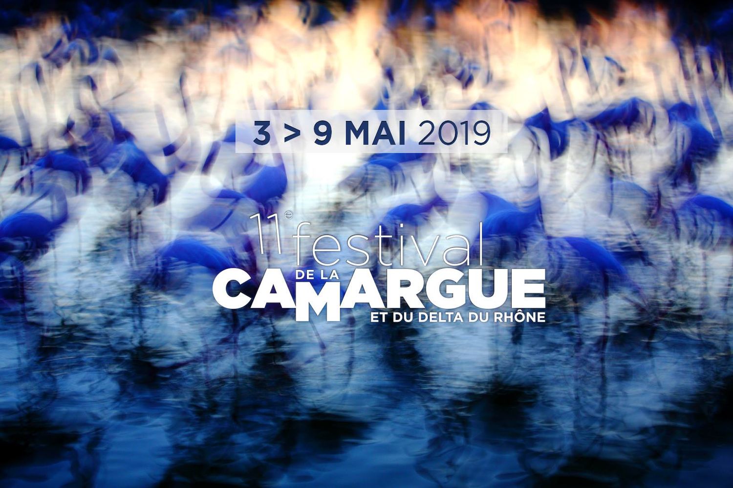 RADIO CAMARGUE