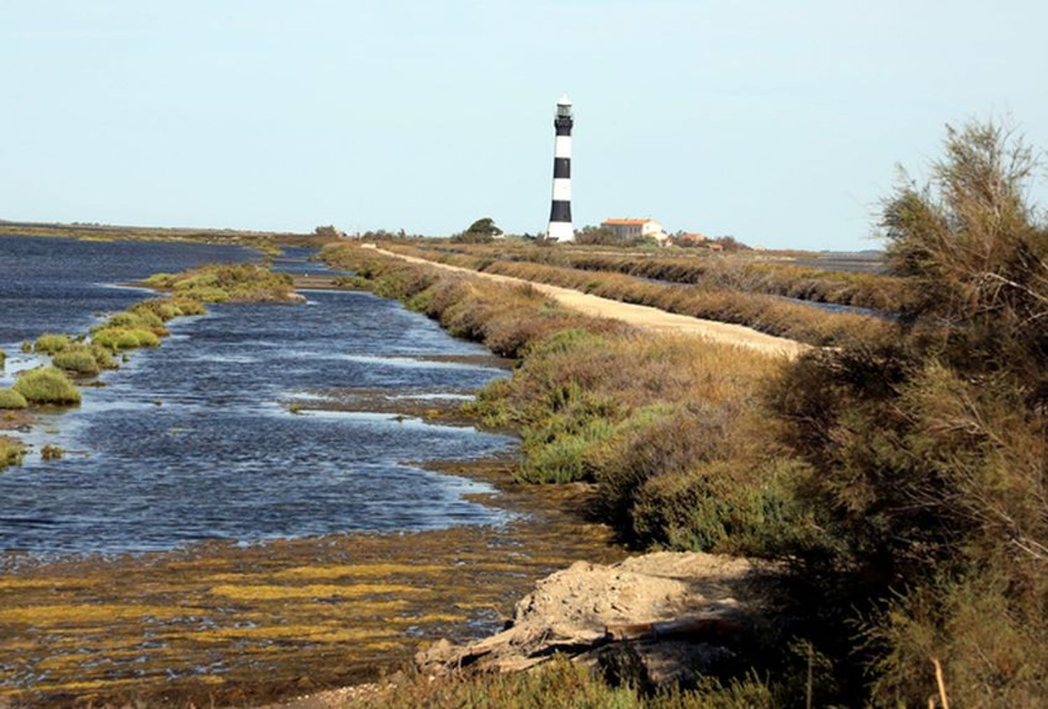 RADIO CAMARGUE