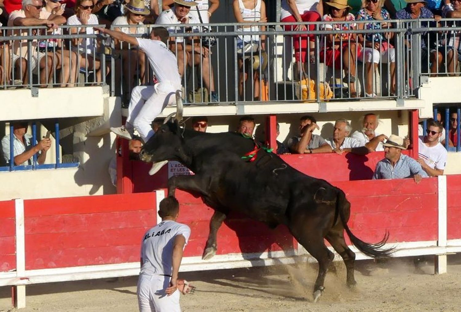 RADIO CAMARGUE