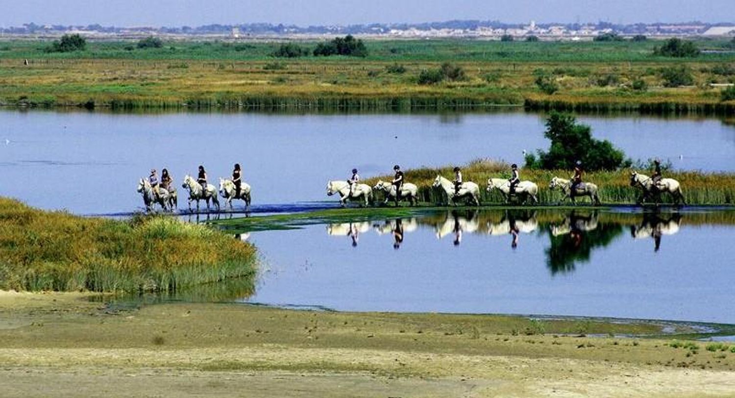 RADIO CAMARGUE