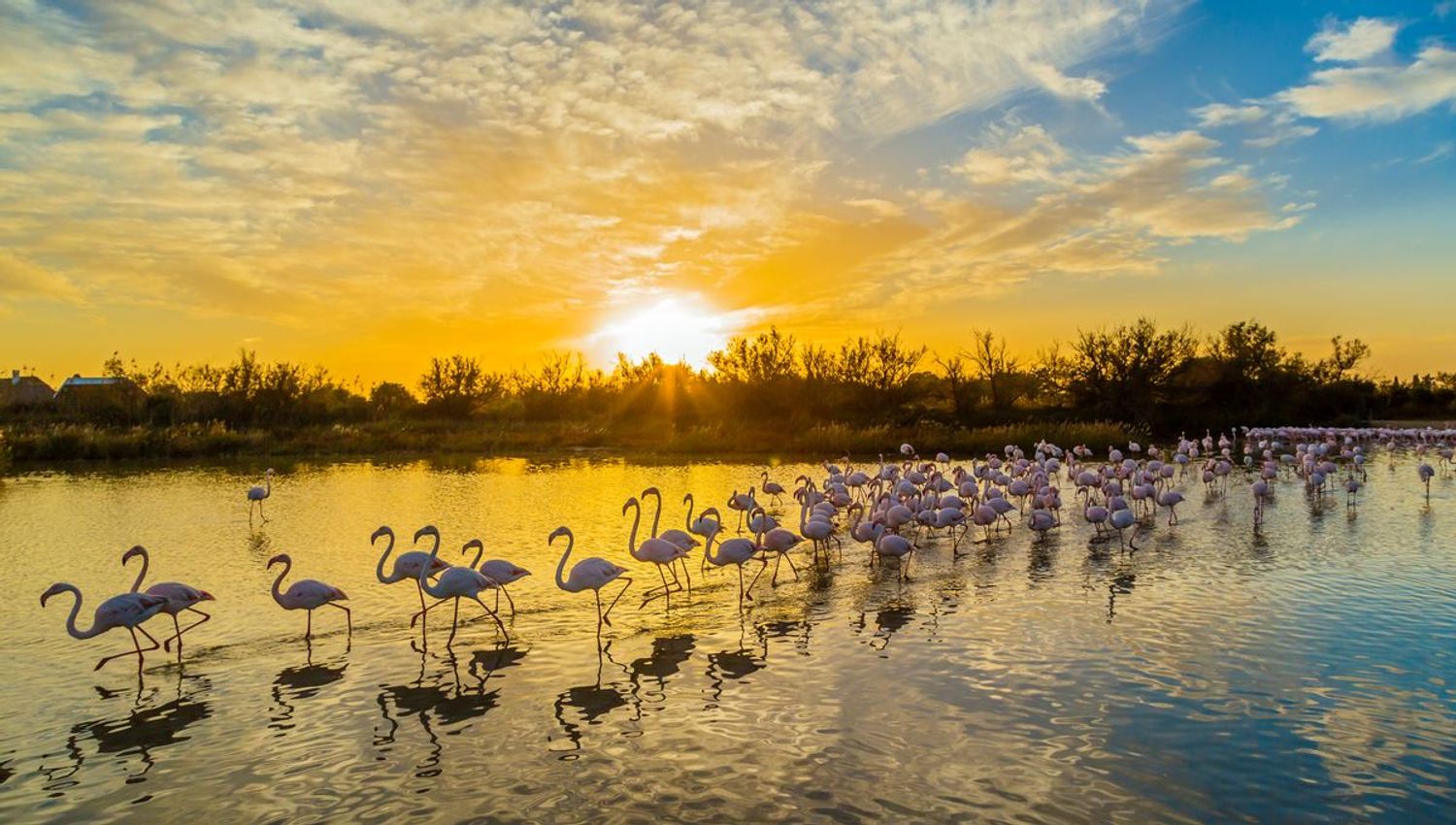 RADIO CAMARGUE