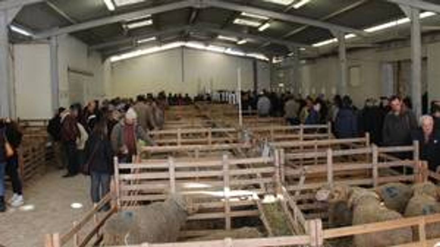 RADIO CAMARGUE