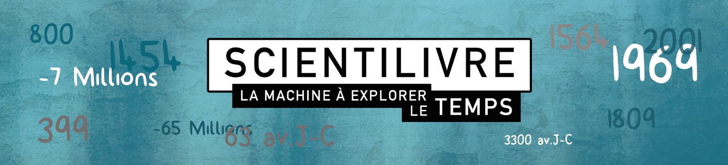 TOULOUSE FM