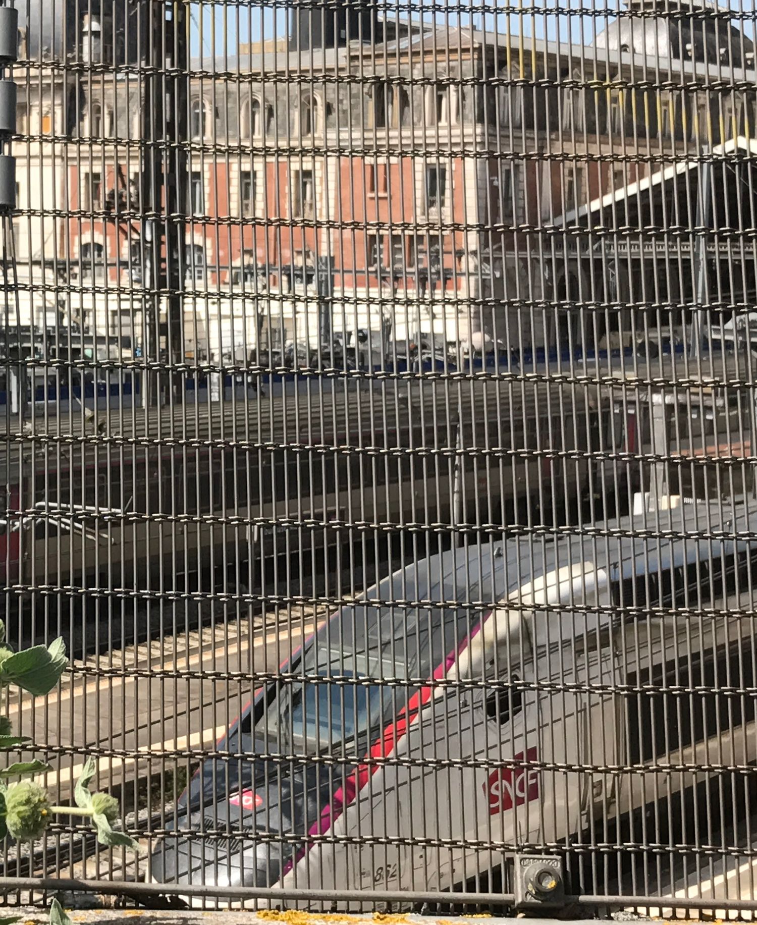 TOULOUSE FM